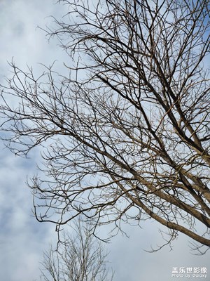 【醉春山】東北的早春