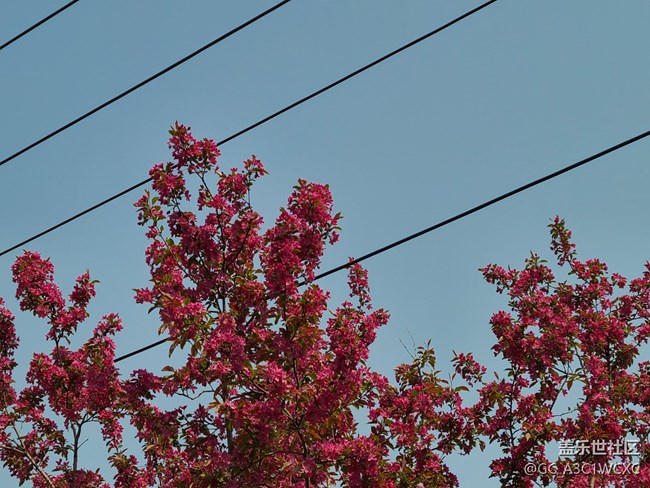 【生活中的小美好】 美好生活