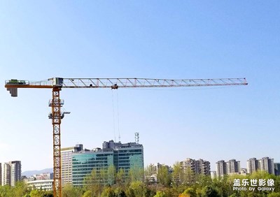 【醉春山】春日隨拍