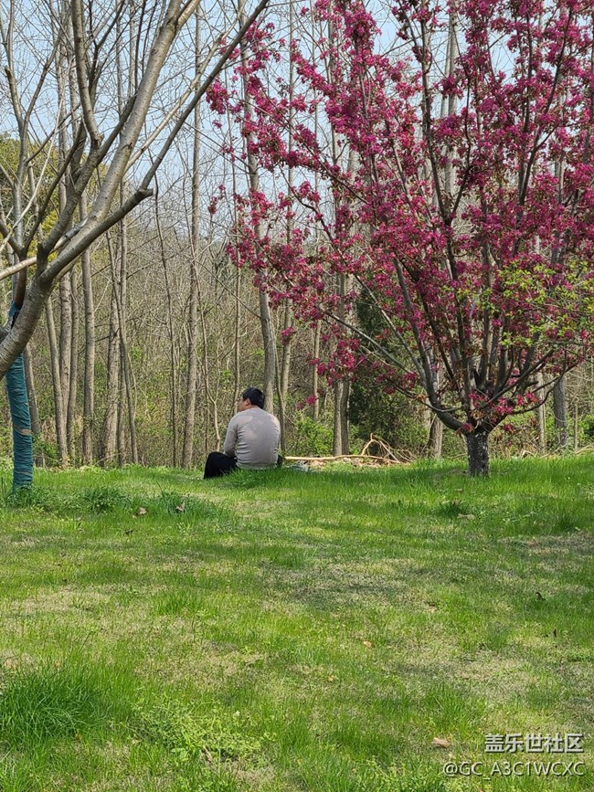 【生活中的小美好】 美好生活