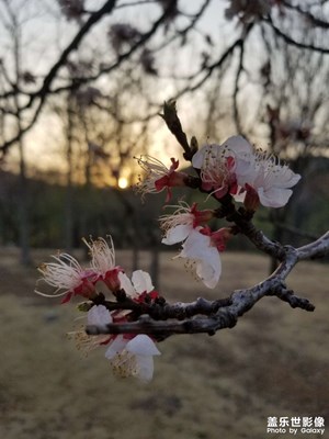 【醉春山】+

春色美
