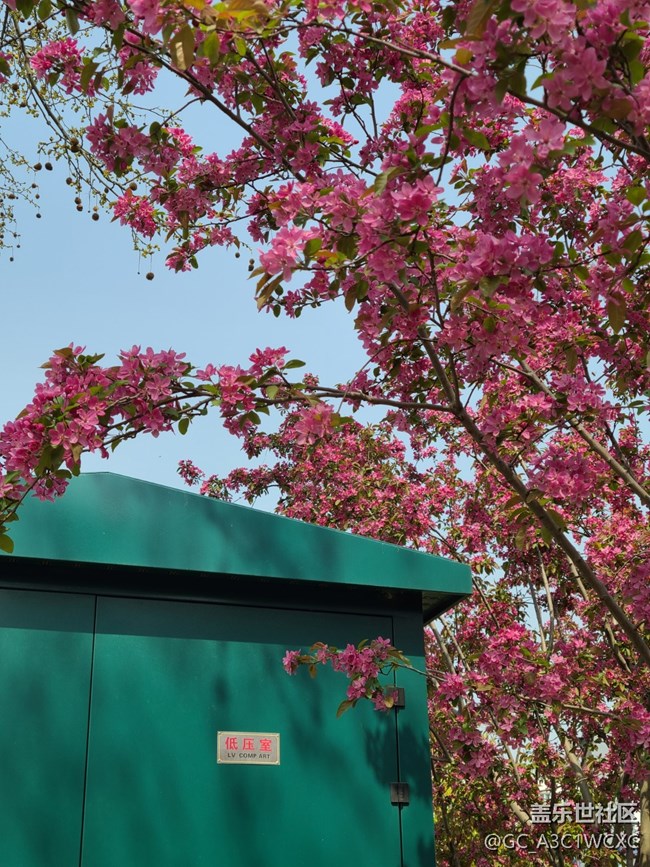 【生活中的小美好】 美好生活