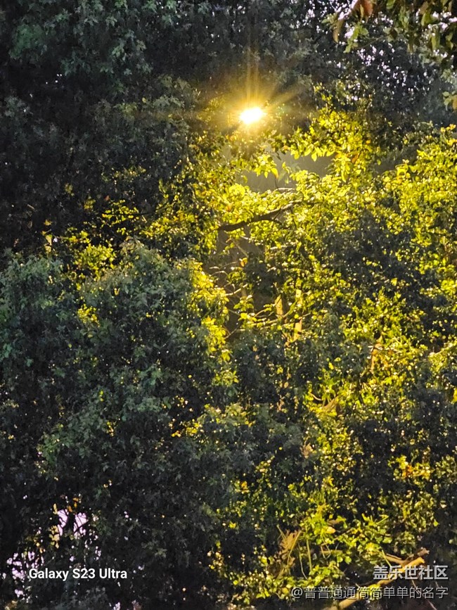 5.1版本   求助啊??！相機崩了（∩▽∩）