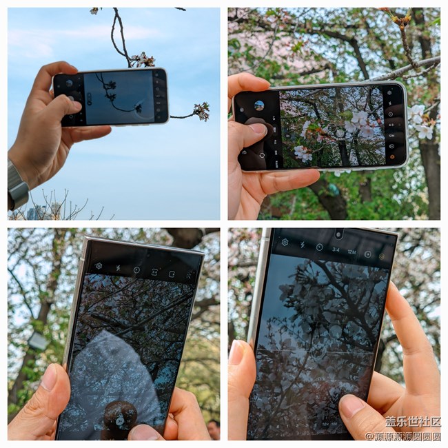 【武漢櫻花】武漢星部落三月攝影活動(dòng)總結(jié)帖