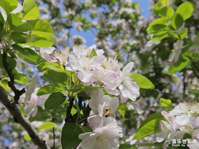 【醉春山】+萬(wàn)物生機(jī)