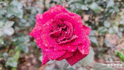 【用鏡頭丈量世界】掛水珠