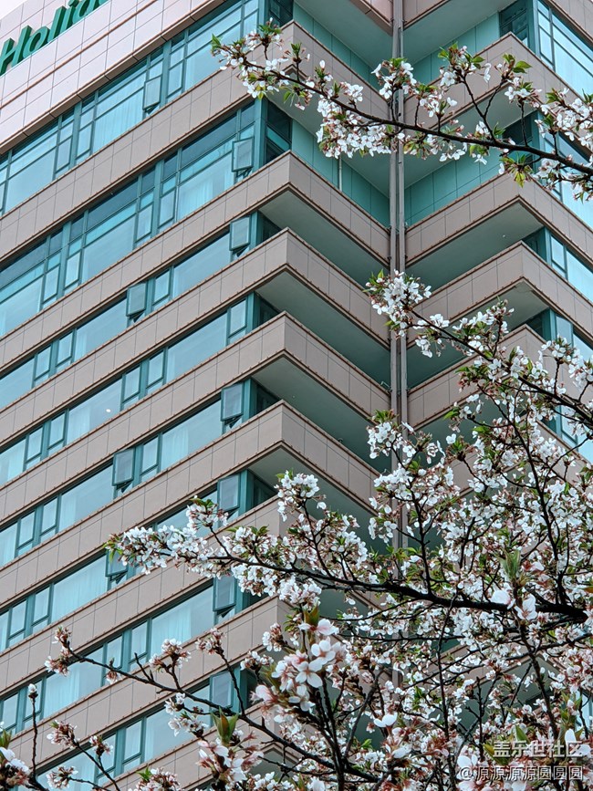 【武漢櫻花】武漢星部落三月攝影活動(dòng)總結(jié)帖