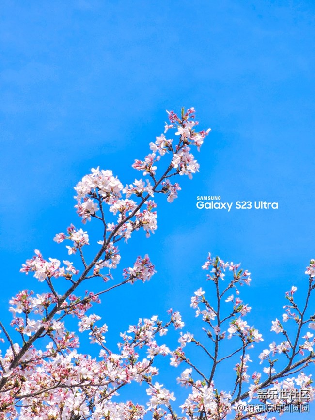 【武漢櫻花】武漢星部落三月攝影活動(dòng)總結(jié)帖