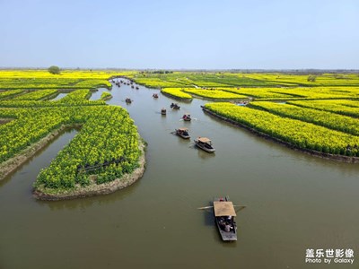 【醉春山】煙花三月下?lián)P州