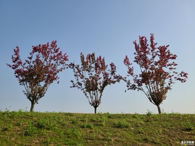 【用鏡頭丈量世界】生活中的美好