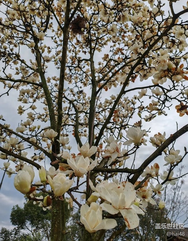 【春日影像诗】春天的景色