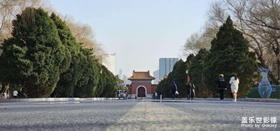 【用鏡頭丈量世界】閑逛「北陵公園」