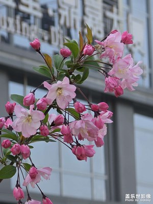 鹽城開發(fā)區(qū)隨拍