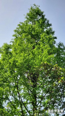 【用鏡頭丈量世界】+春的氣息