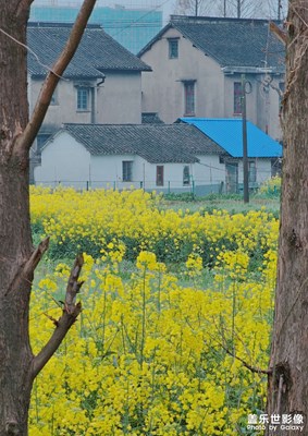 【用鏡頭丈量世界】+邊走邊拍