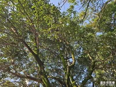 【用鏡頭丈量世界】+鏡頭里的世界