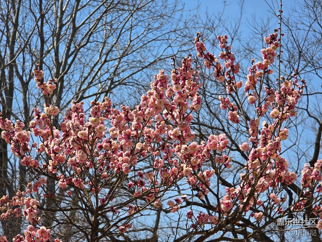 青島星部落3月拍攝活動回顧