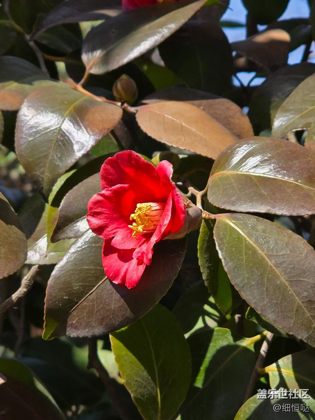 青島星部落3月拍攝活動回顧