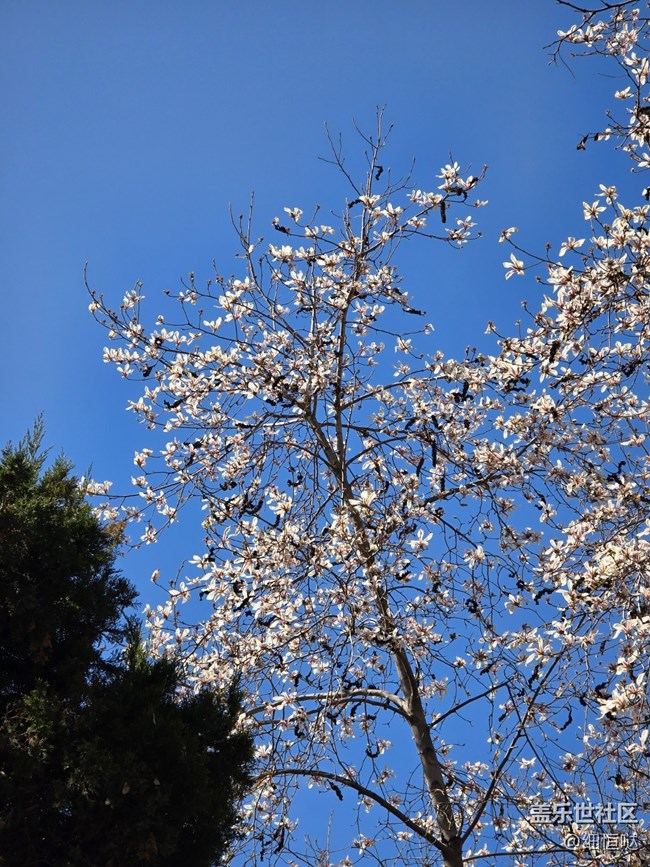 青島星部落3月拍攝活動回顧