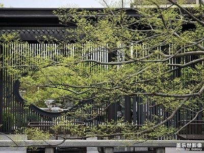 【追光塑影】園景隨拍