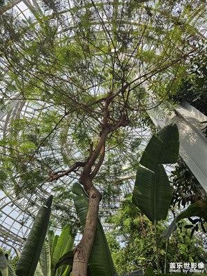 【追光塑影】+隨手拍攝