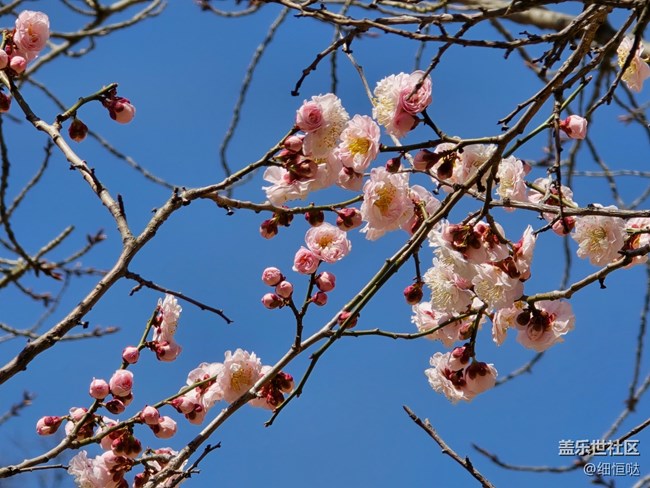 青島星部落3月拍攝活動回顧