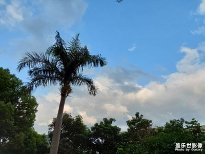 【醉春山】下山