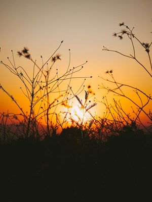 【四季輪回】——夏