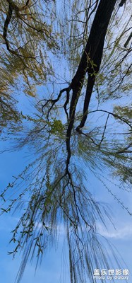 【醉春山】+春游