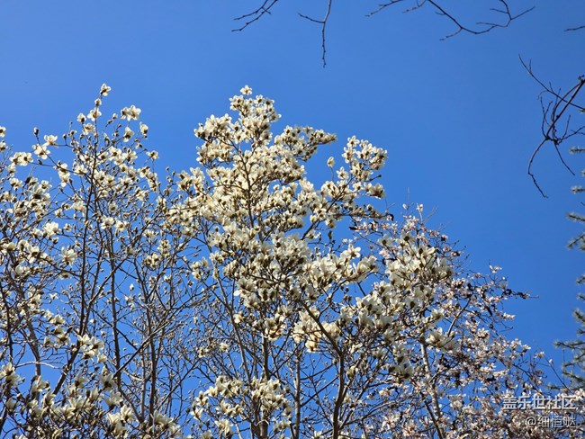 青島星部落3月拍攝活動回顧