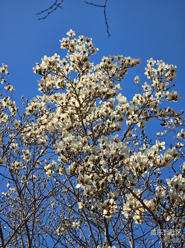 青島星部落3月拍攝活動回顧