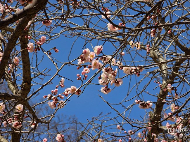 青島星部落3月拍攝活動回顧