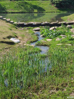 【醉春山】好春光