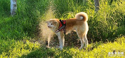 【追光塑影】+ 丁達爾光