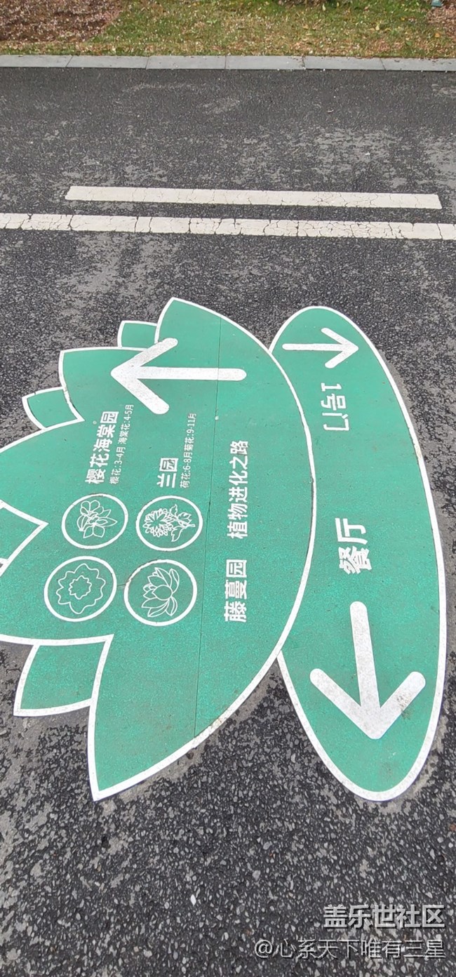 【三星AI與春天花兒】感受春天的氣息