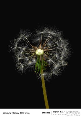 自己認為不錯的一張照片