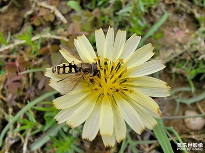 【追光塑影】+清明時(shí)分