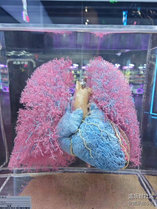{探索生命奧秘}用三星記錄生活