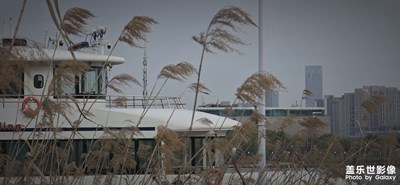 手機(jī)終歸是手機(jī)。。。