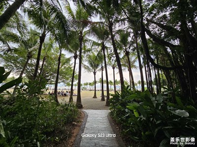 清明時(shí)節(jié)的深圳灣