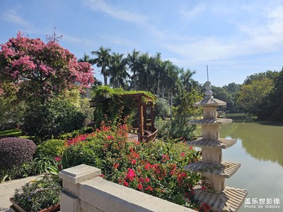 【追光塑影】公園漫步