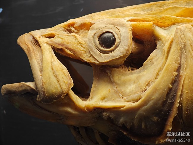 {探索生命奧秘}+生命的奇跡！