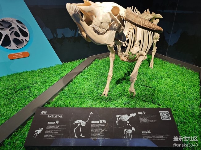 {探索生命奧秘}+生命的奇跡！