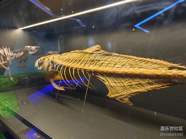 {探索生命奧秘}+生命的奇跡！