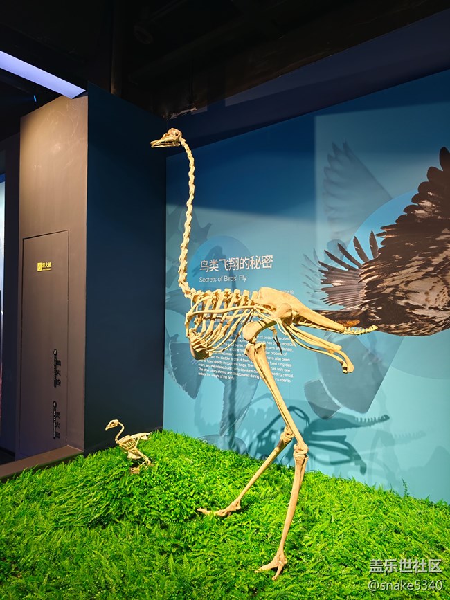 {探索生命奧秘}+生命的奇跡！