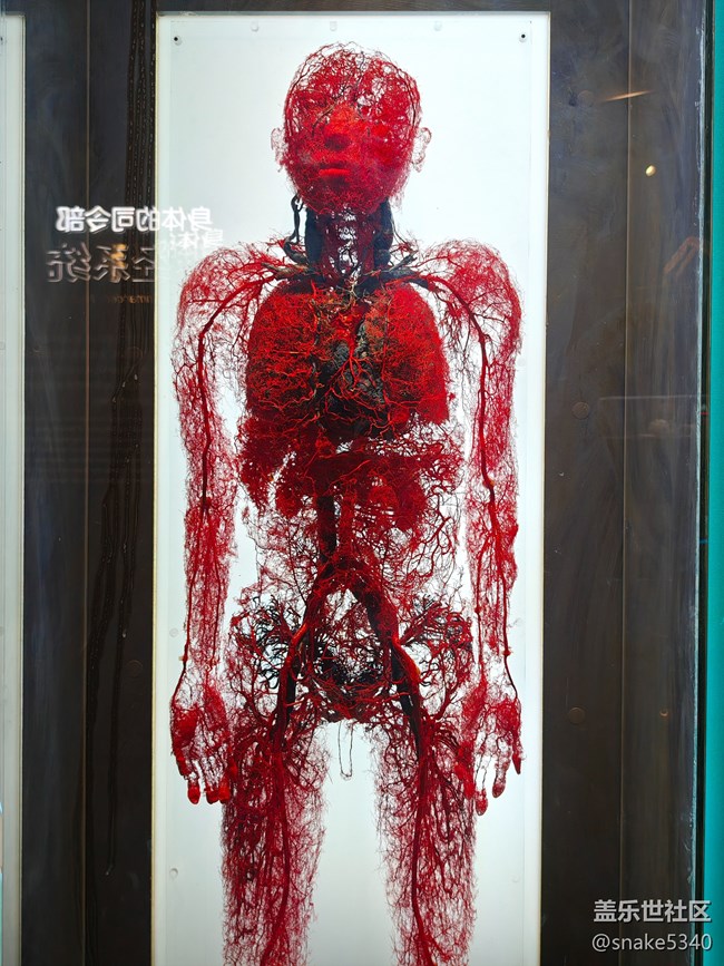 {探索生命奧秘}+生命的奇跡！