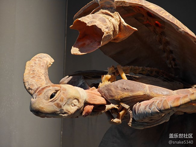 {探索生命奧秘}+生命的奇跡！