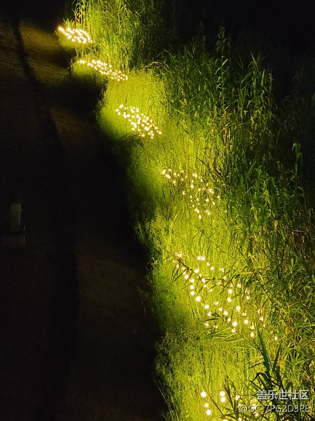 【黑暗中的光】夜晚的光