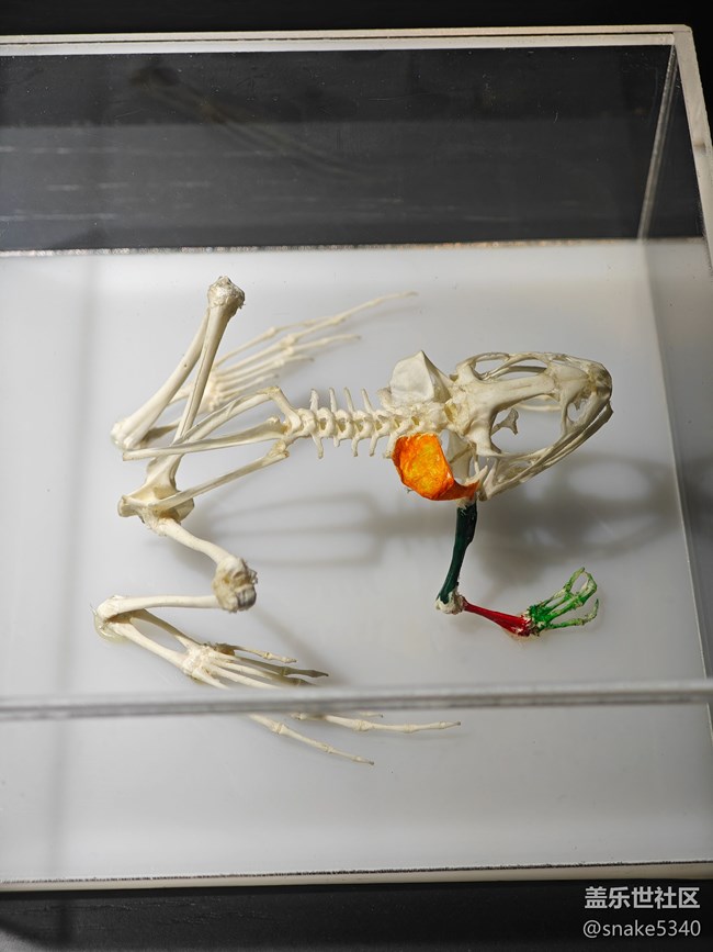 {探索生命奧秘}+生命的奇跡！