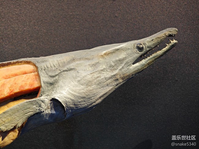 {探索生命奧秘}+生命的奇跡！